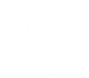 PAW3R